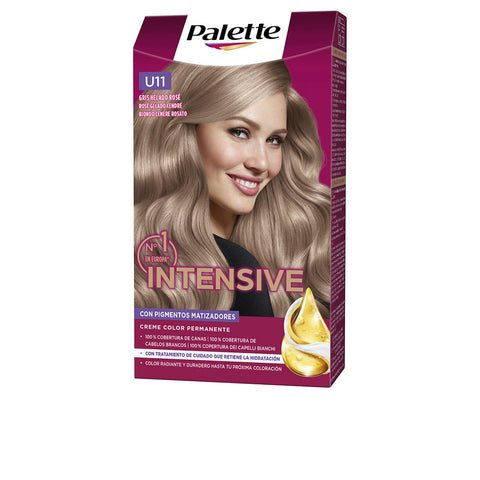 PALETTE INTENSIVE dye #U11-frozen gray rosé 1 u