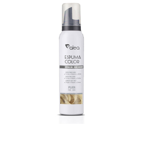 COLOR FOAM #silver 200 ml